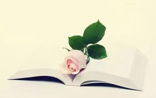 读书毁了我王强演讲视频完整版,读书毁了我作者