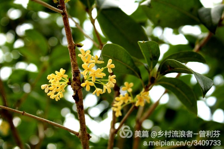 记住乡愁河源热水镇,发现河源