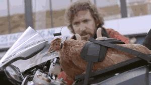 作为摄影师的“鸡”，你必须扛得起相机、拍得了防抖视频！