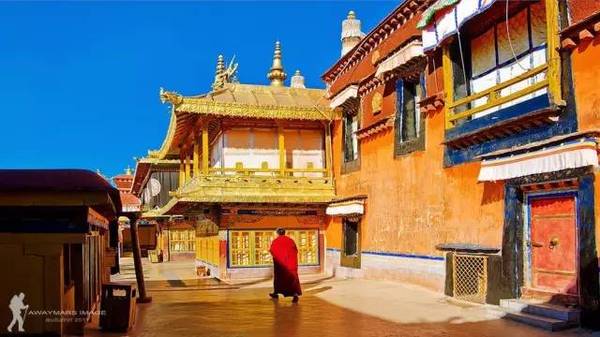 为什么*藏西**总是不包邮？