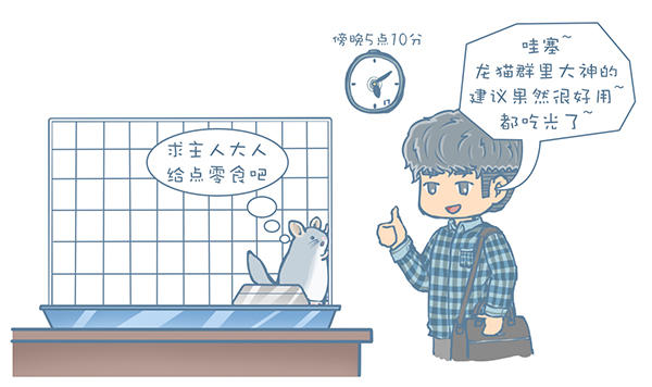 龙猫怎么才能不掉毛,龙猫挑食不吃主粮怎么办