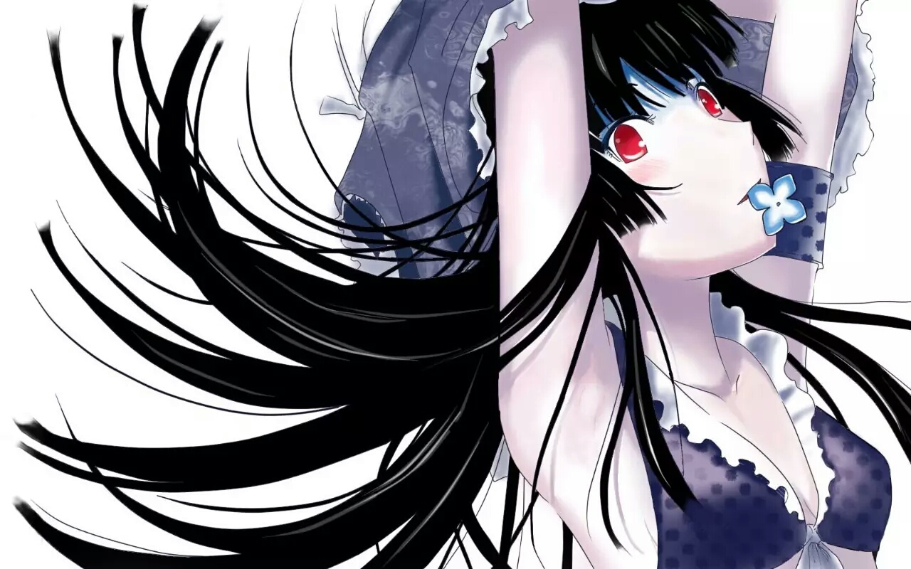 散华礼弥哪张壁纸最好看,散华礼弥壁纸图鉴