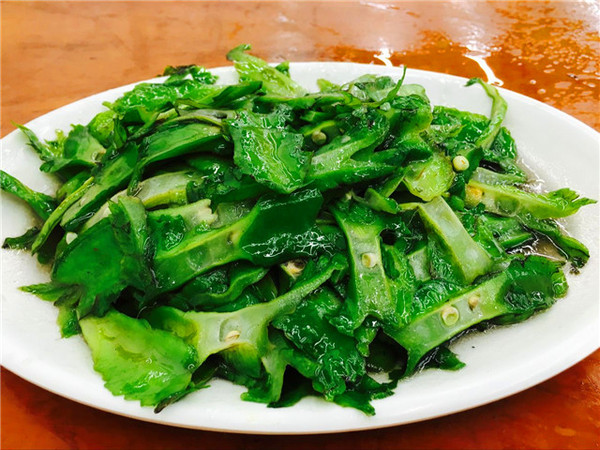 全家到三亚,全家去三亚过春节费用