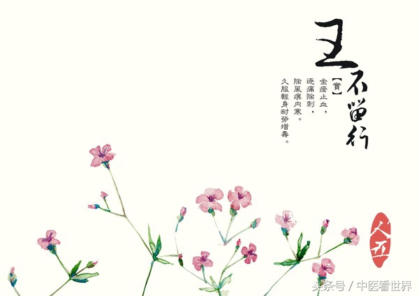 此草性走而不住，虽有王命不能留其行！善于下行，活血通经！