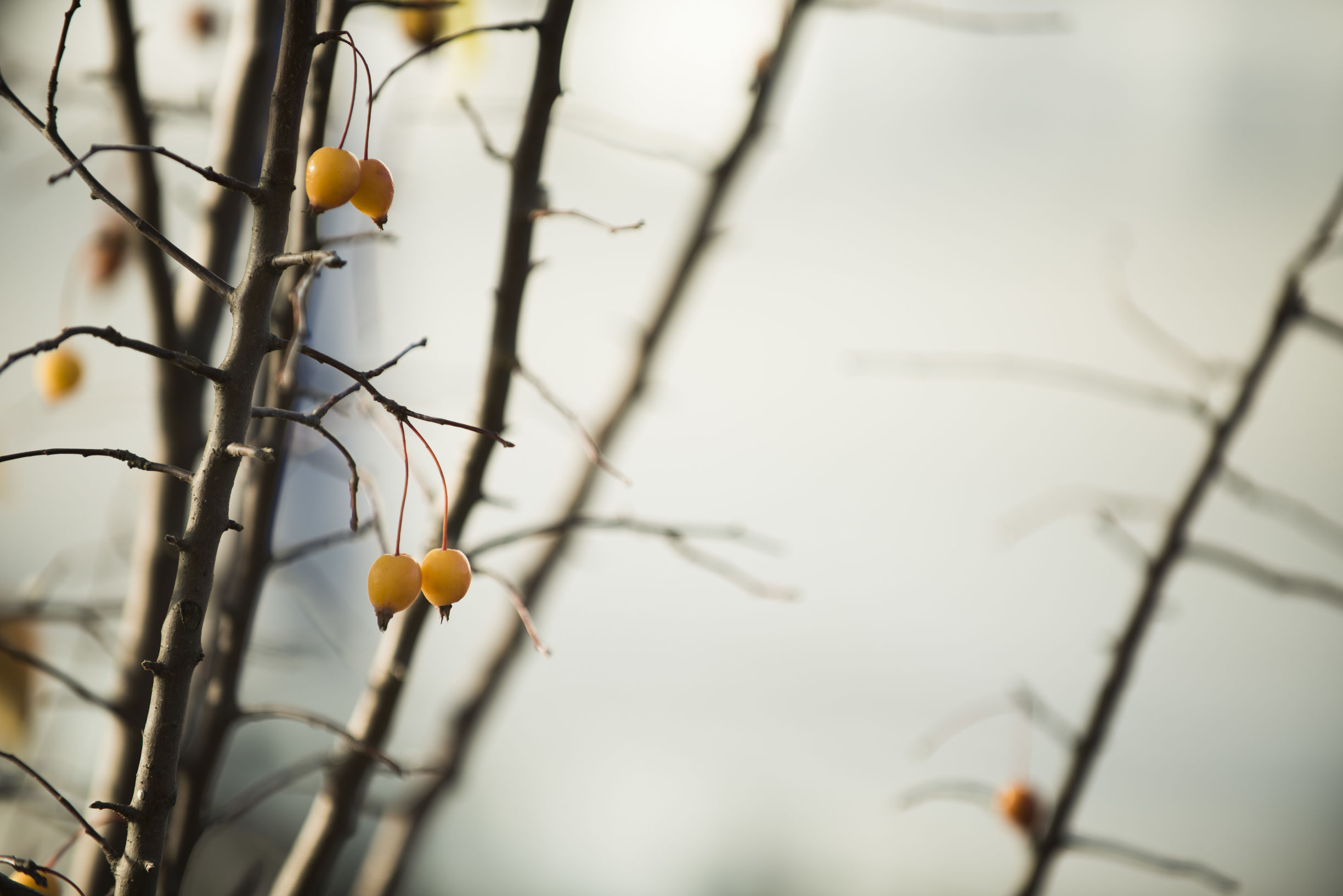 如何评价保定职中,如何评价保定旅游