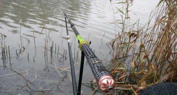 钓鱼人太牛！大风大雨中垂钓也能迎来鲤鲫大丰收
