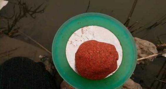 钓鱼人太牛！大风大雨中垂钓也能迎来鲤鲫大丰收