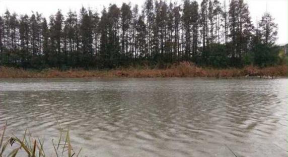 钓鱼人太牛！大风大雨中垂钓也能迎来鲤鲫大丰收