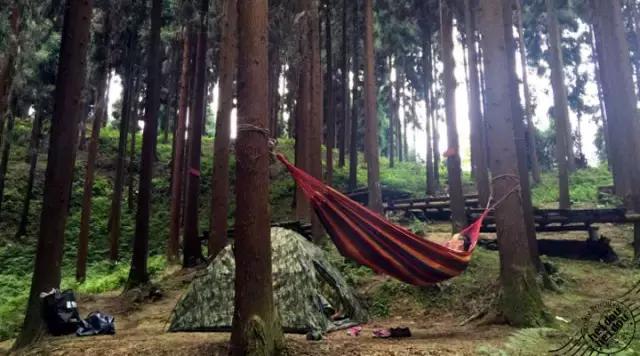 成都周边哪里好玩点的景点推荐下,成都附近免费旅游景区有哪些