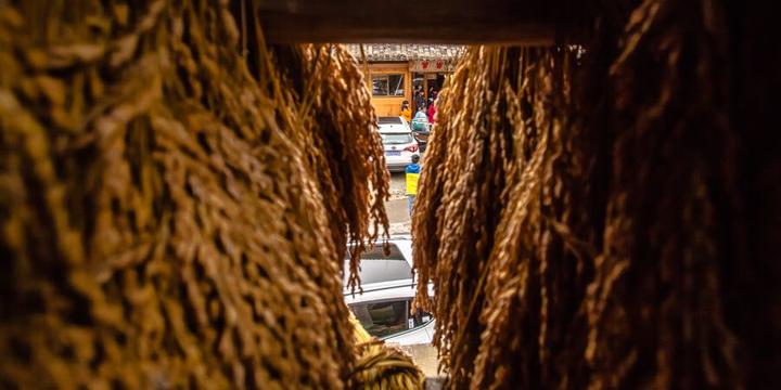 拥抱纯净世界，梦回黔东南