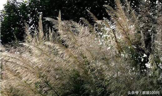 伙呆!杭州遇上地中海,是场最美丽的意外!