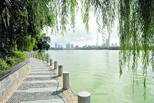 广西南宁2020年薪资水平报告,南宁市2022薪资水平报告