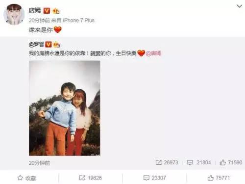 呼叫罗晋唐嫣：买车后需要车险吗？7个萝卜让天下没有难买的车险