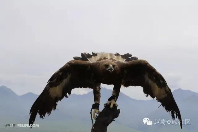 开着房车旅行说走就走,说走就走出去玩视频