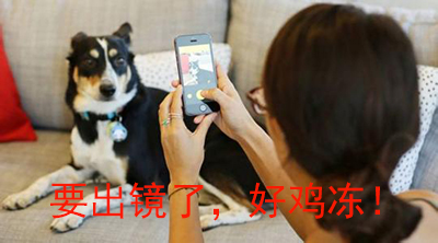 网络营销推广运营引流方法,网络营销如何快速引流推广