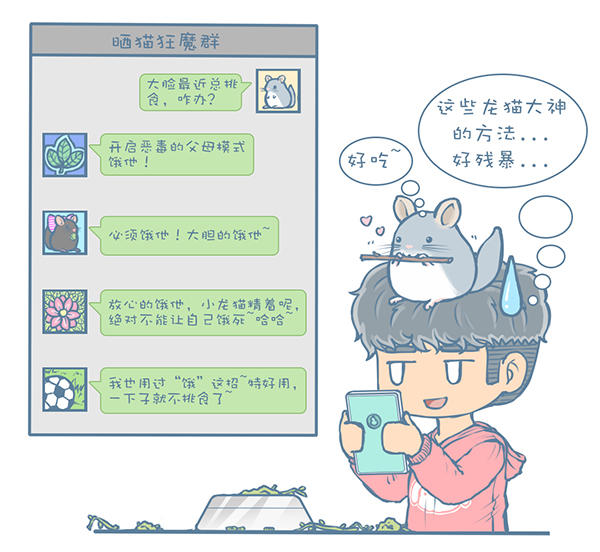 龙猫怎么才能不掉毛,龙猫挑食不吃主粮怎么办