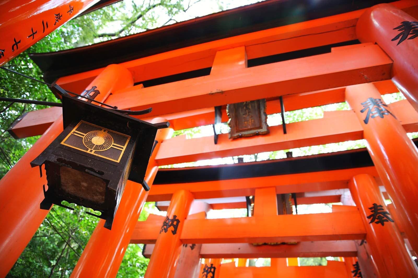 关西温泉六日游,大阪关西机场温泉