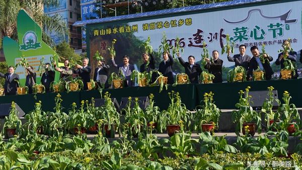 连州菜心拍卖最高价,至尊连州菜心什么价