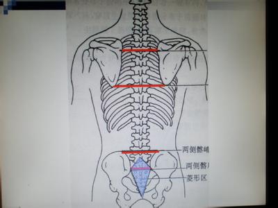 肚子硬硬的还有东西在跳,肚子腹部左侧有一个鼓起的硬包