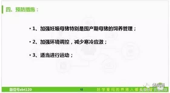 母猪产前低温不食是怎么回事,母猪低温不吃食最佳治疗方案