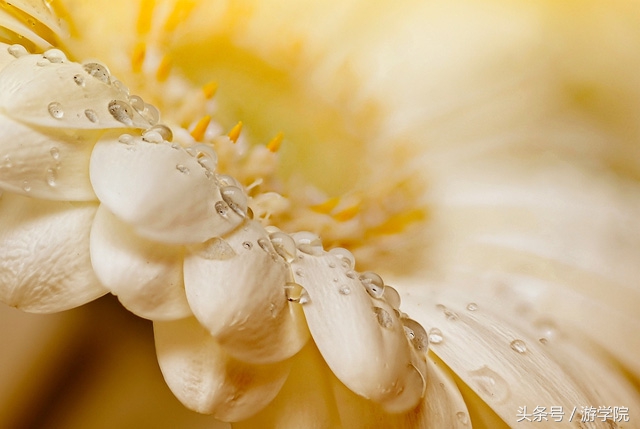 摄影答疑,解答摄影问题