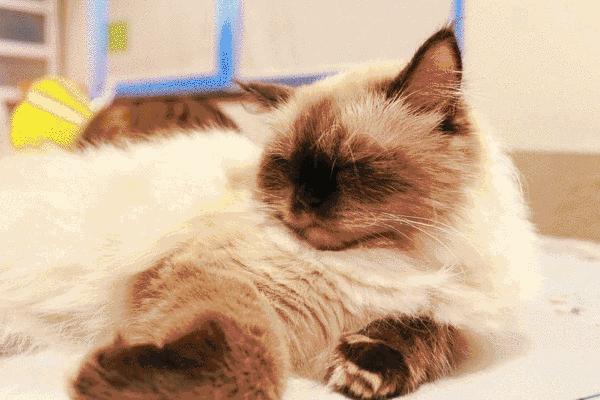 网购什么东西不方便,网购什么东西都能买到