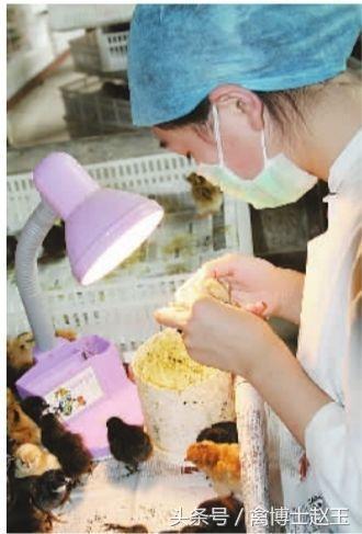 分公母是什么,分公母的讲究视频