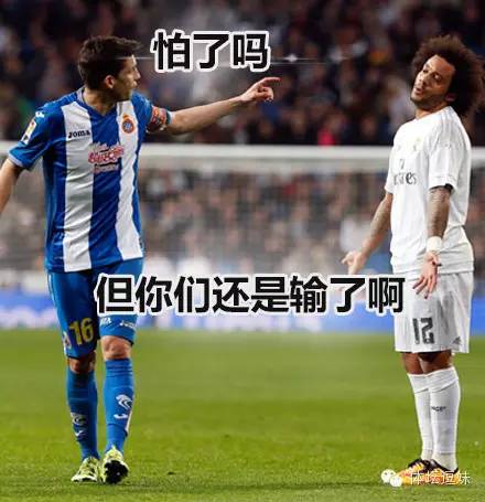 特里转会过吗,特里转会维拉