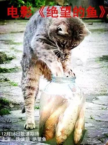 医院误给保胎孕妇吃打胎药,护士给孕妇吃打胎药