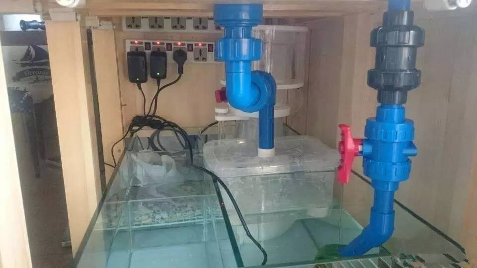 简单粗暴开啤酒,简单开个缸