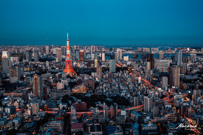 粉红猪小妹与小猪佩奇,粉红猪小妹的快乐生活