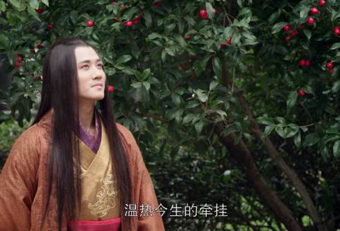 兰陵王宇文邕深情,兰陵王宇文邕情种