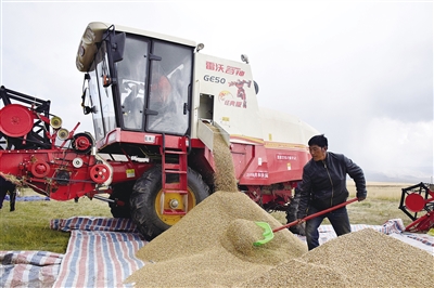 不能给娘家丢脸,不能给祖先丢脸
