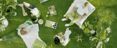 2017年的流行色草木绿,2022年的春季流行色