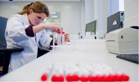 dutchlady子母奶粉有味道吗,dutchlady子母奶粉真假