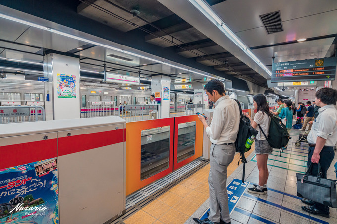 粉红猪小妹与小猪佩奇,粉红猪小妹的快乐生活