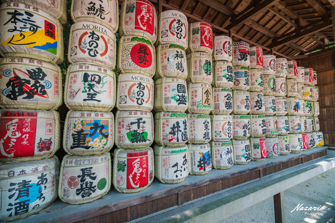 粉红猪小妹与小猪佩奇,粉红猪小妹的快乐生活