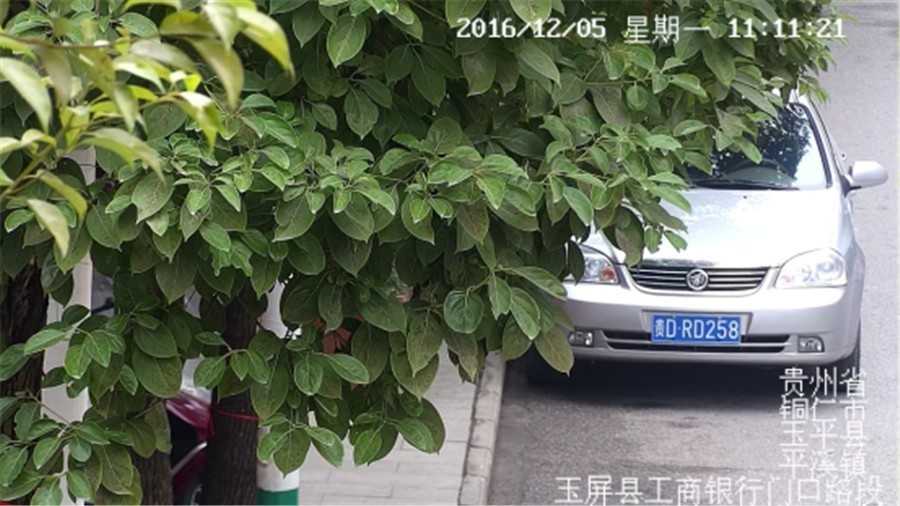 老赖公布看看都有谁,看看长得像谁