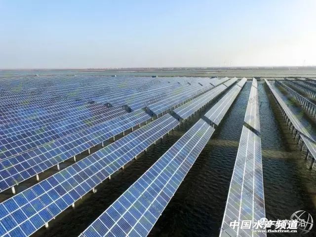 鱼虾住进光伏大棚，“头顶”还能发电