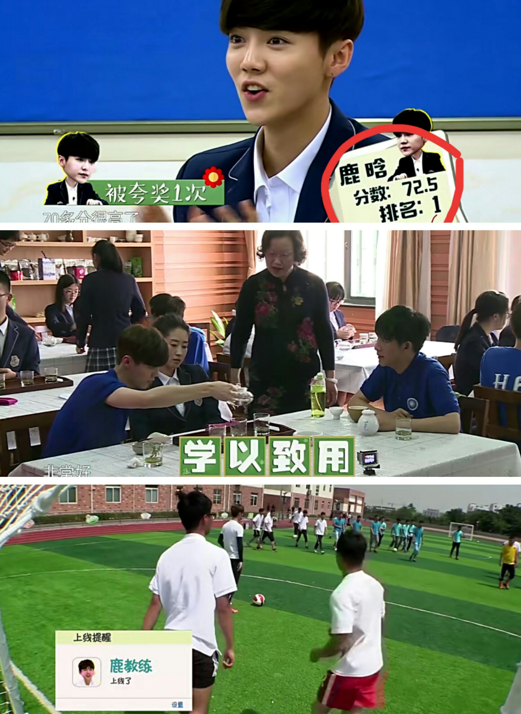 阳光下奔跑的傻狍子,山坡上奔跑的傻狍子