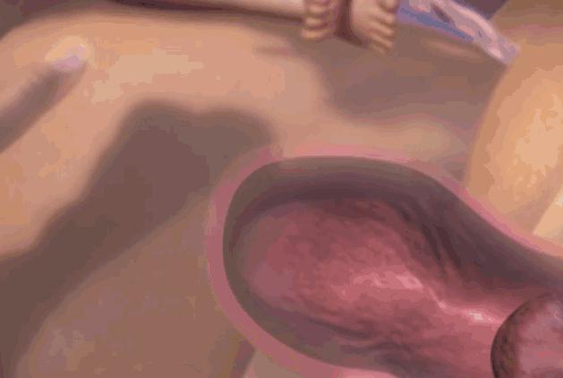 生孩子之前做什么动画演示,动画演示生孩子的各个阶段