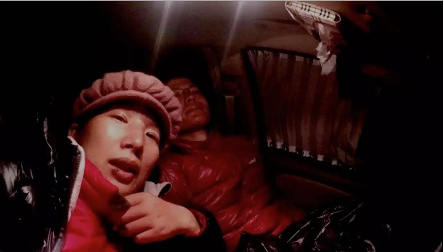 狼真的来了图片,狼真的来了吗全集