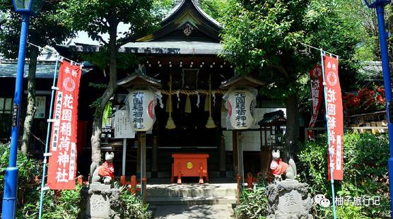 樱花旅行记全集视频,日本樱花7日游攻略大全