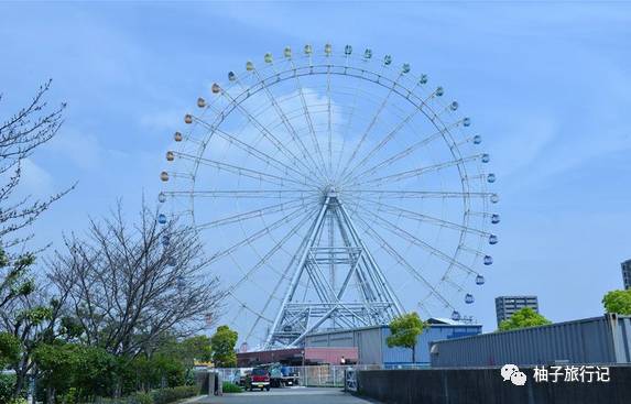 樱花旅行记全集视频,日本樱花7日游攻略大全