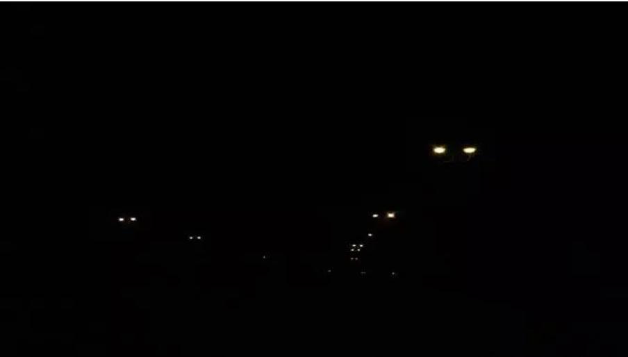 狼真的来了图片,狼真的来了吗全集