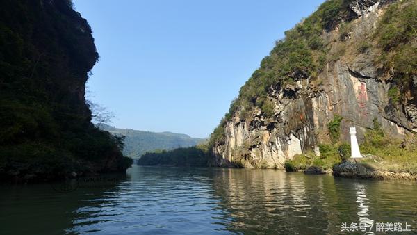 连州菜心拍卖最高价,至尊连州菜心什么价