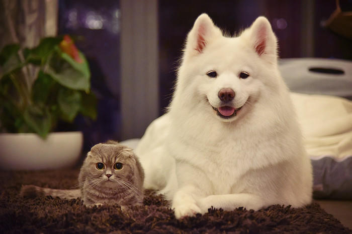 孕期便秘用开塞露对胎儿有影响,便秘使劲拉对胎儿有什么影响