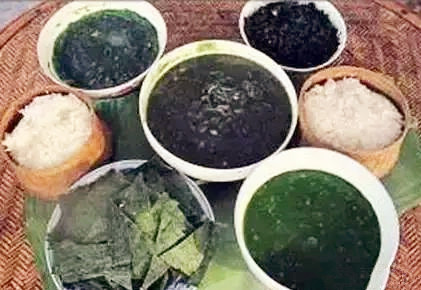 旅游游记到农村01：去看姑婆，农村的小植物治好了我的鼻炎