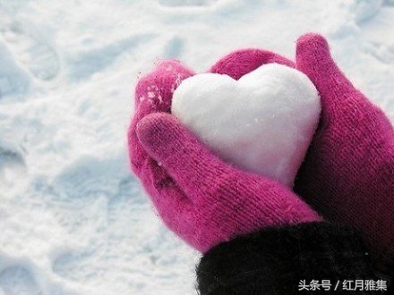 想你了怎么办女声版,想你了怎么办表情包