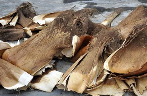 做简易绿萝柱,绿萝柱制作教程